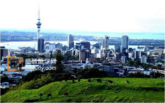 20120505113308502-3 新西兰留学