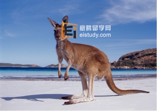 澳洲留学政策利好