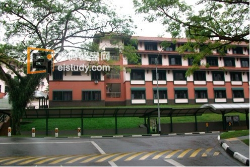 南洋理工大学的绿色植物