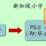 新加坡小学留学