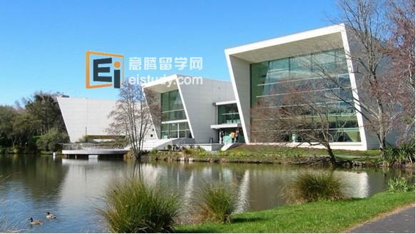 怀卡托大学