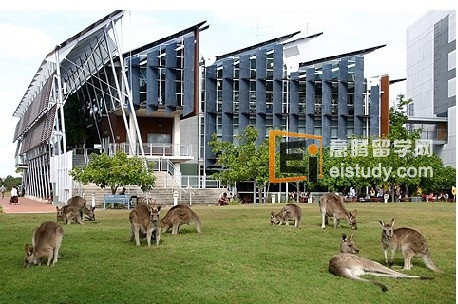 澳洲大学