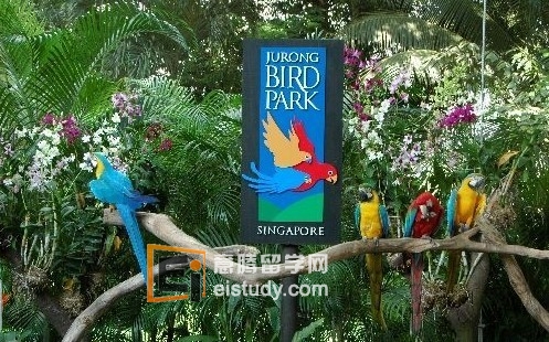 20120712012952673-1 裕廊飞禽公园 Jurong BirdPark