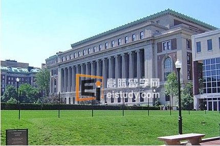 纽约大学