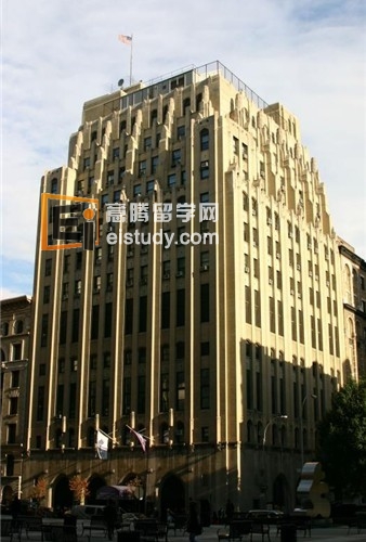 纽约大学