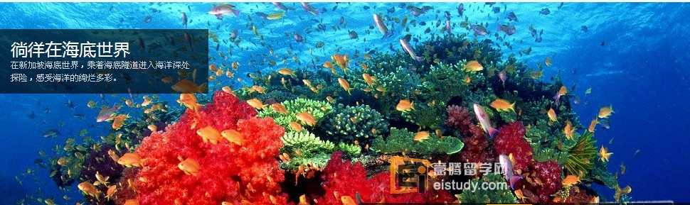 新加坡海底世界