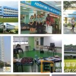 新加坡国际学校