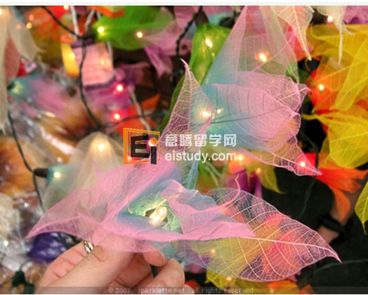 20121106122537488-1 新加坡印度街