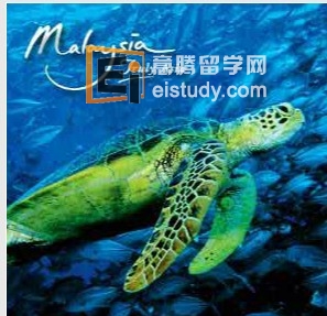 英国留学