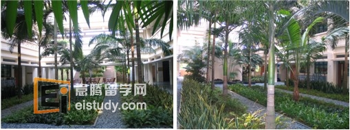 新加坡南洋小学环保俱乐部