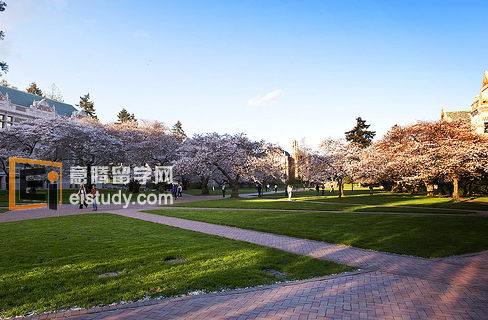 20130111110315223-3 美国圣地亚哥大学