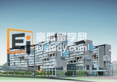 东海岸的外壳连接