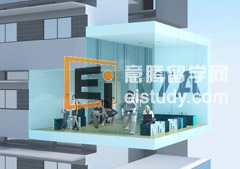 东海岸的孵化酶