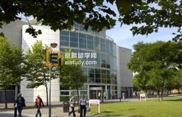 英国提赛德大学
