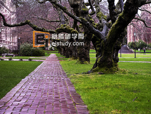 20130117110117552-1 澳洲热门留学专业