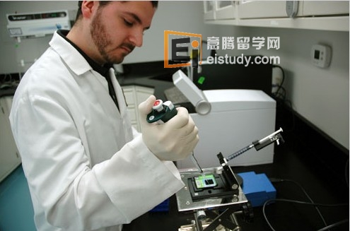 生物医学.jpg