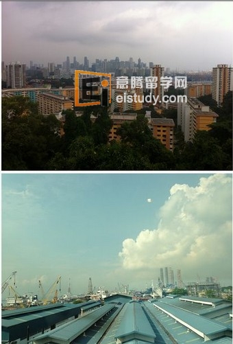 新加坡文化