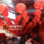 你不知道的新加坡寻常小闹市