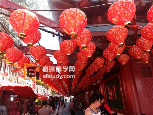 你不知道的新加坡寻常小闹市