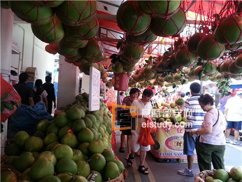 你不知道的新加坡寻常小闹市