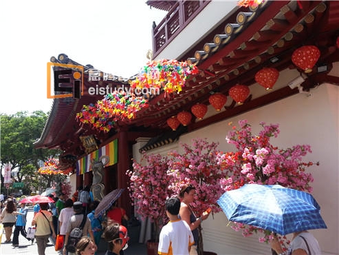 你不知道的新加坡寻常小闹市