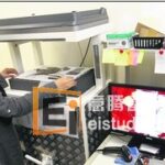 新加坡植物园为什么要把植物模式标本数码化?