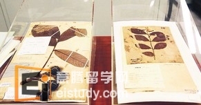 20130513100632792 新加坡植物园申遗怎么做?
