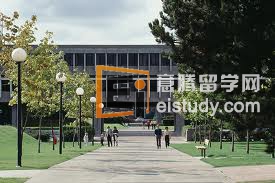 西门菲沙大学