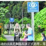 新加坡中小学和初级学院学生将分批参加骑脚踏车安全课程