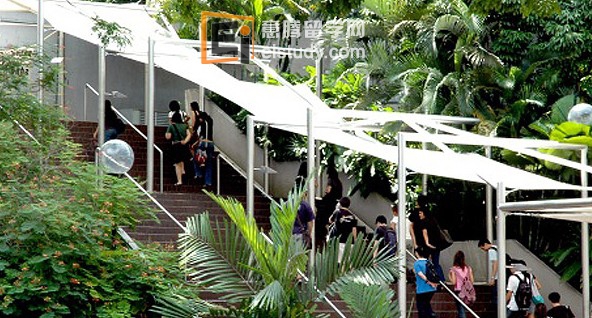 20130621102313860 新加坡华人新移民团体是干什么的?