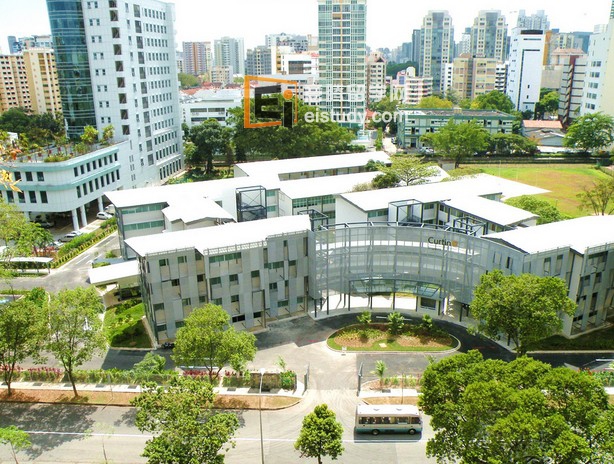新加坡留学 家长为什么放弃选择名校？
