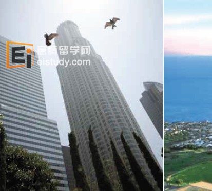 20130821024548876 你的美国学位之路快捷, 灵活, 保障 —最完美的组合