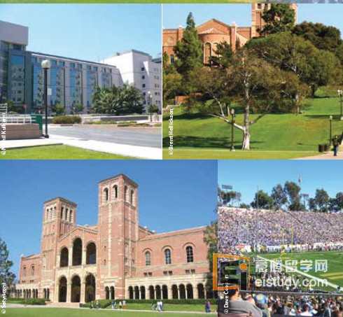 20130821035553557 美国留学 UCLA加州大学洛杉矶分校介绍