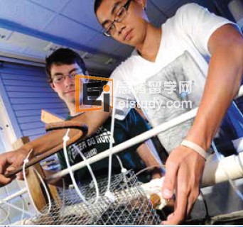 美国留学  快捷且独具特色的课程项目1+3