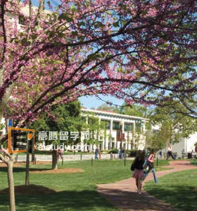 美国留学 大学1+3课程优势