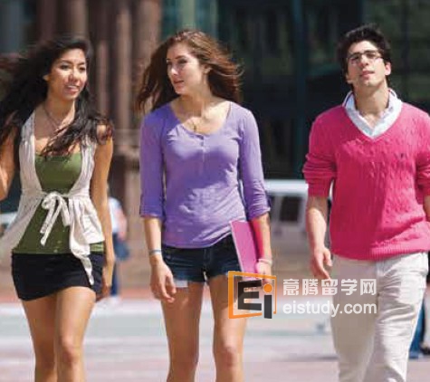 20130824102144641-3 美国留学专业 最新学生流行就读专业学位