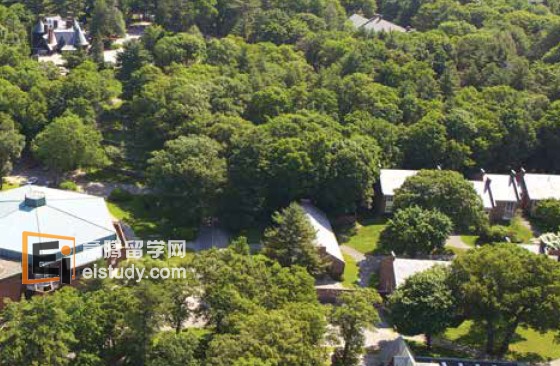 20130824102202435-1 美国留学专业 最新学生流行就读专业学位