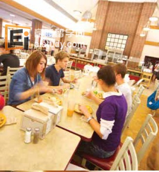 20130824102214654-1 美国留学专业 最新学生流行就读专业学位