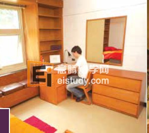 20130824102240636-1 美国留学专业 最新学生流行就读专业学位