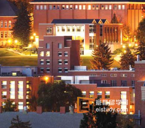 20130826103949795-1 Washington StateUniversity华盛顿州立大学