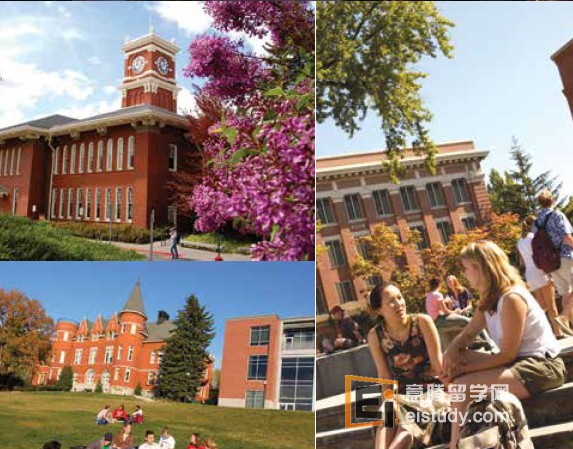 20130826104008301 Washington StateUniversity华盛顿州立大学