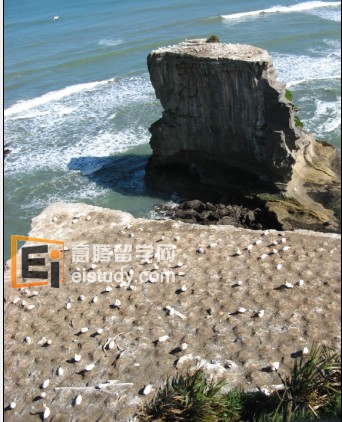 The homestay family for新西兰学生校李学生Wen Bin Li 的寄宿家庭生活。