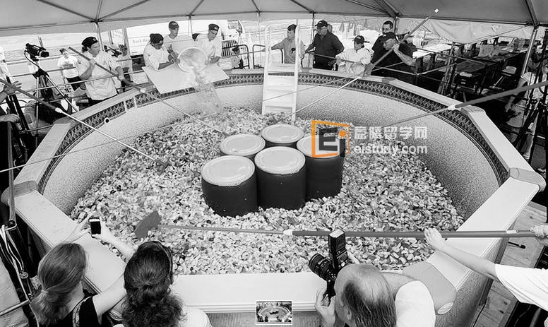 美国麻省理工学院 游泳池里拌沙拉