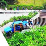 新加坡南大校园惊奇一幕