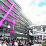 保留传统华校价值观特选学校仍是新加坡教育体制重要部分