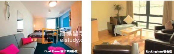 20131219094455381-3 去英国留学 谢菲尔德国际学院住宿条件