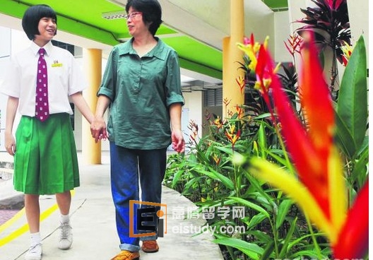 20131220092433777-1 新加坡N水准会考故事之二 努力获六个特优