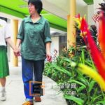 新加坡N水准会考故事之二 努力获六个特优