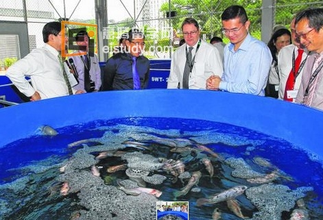 共和理工学院推出海洋与水产养殖大专课程