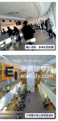 20140121091539458 利物浦国际学院 (LIC) 是利物浦大学的直通车